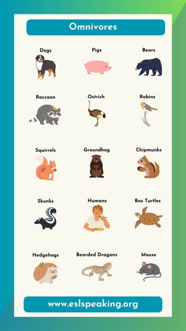 Are All Fish Omnivores