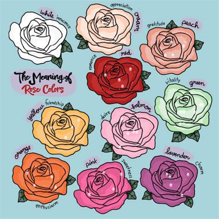 Are colored roses real