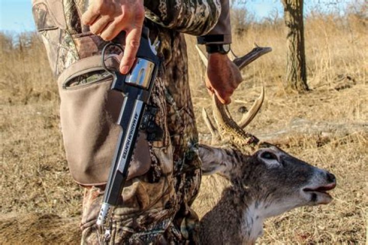 Best Deer Hunting Rifle - How To Discuss