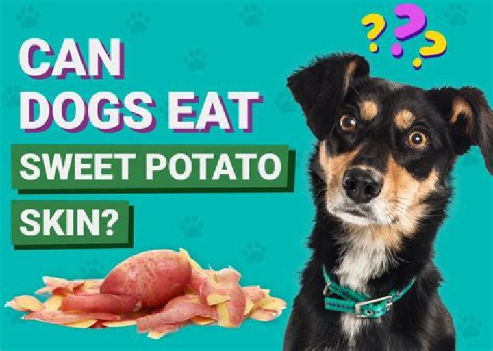 Can Dogs Eat Sweet Potato Skins