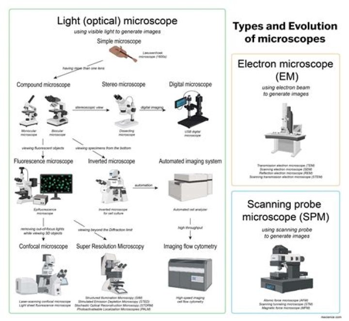 Different types of microscope - How To Discuss
