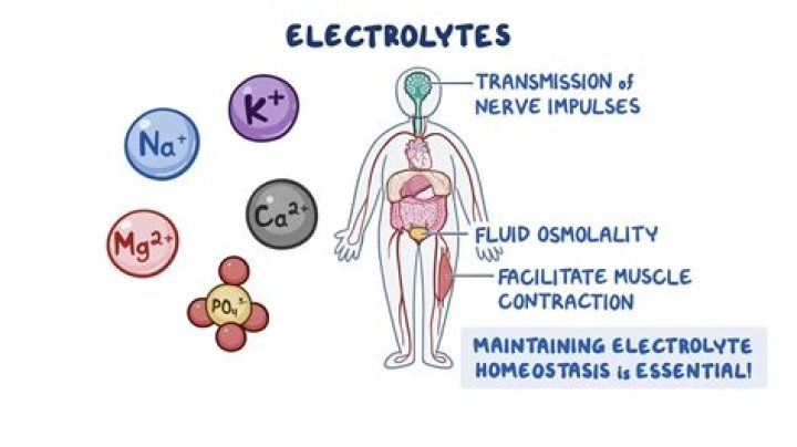 Do electrolytes help with the flu