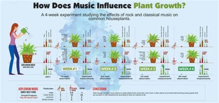 Do plants grow better with music science project