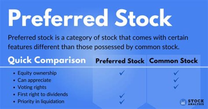 Does Best Buy have preferred stock