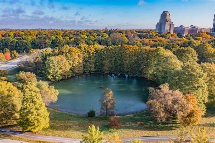 How Big Is Forest Park In St Louis