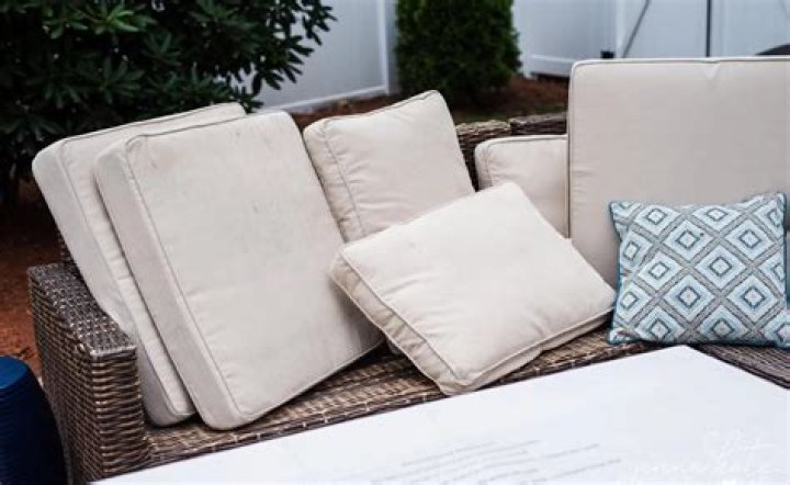 How do you get mildew out of patio cushions