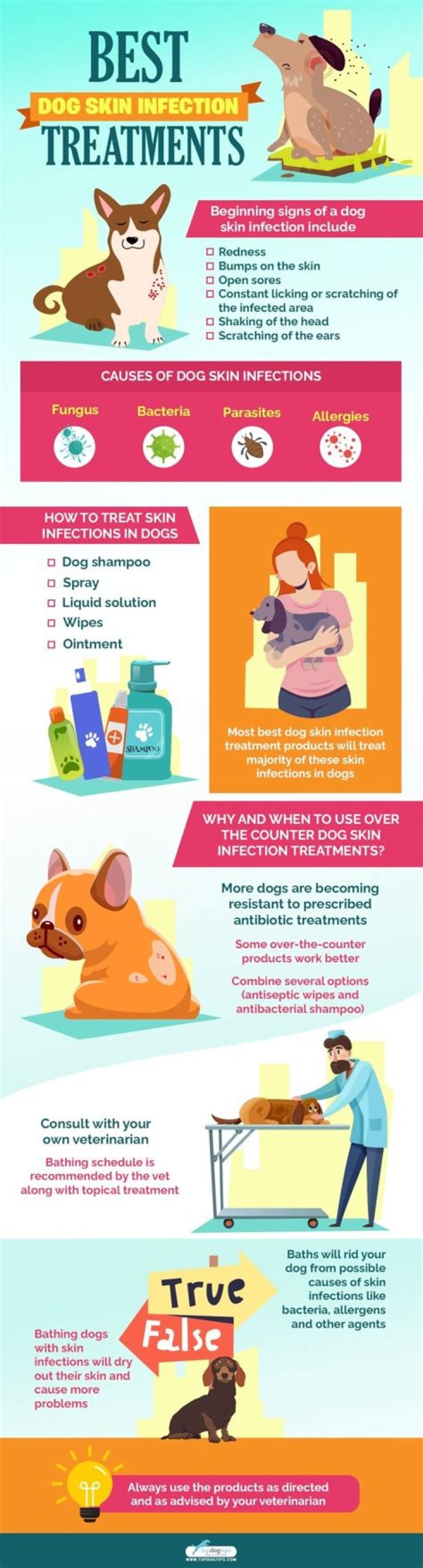 How do you treat a bacterial infection on a dog