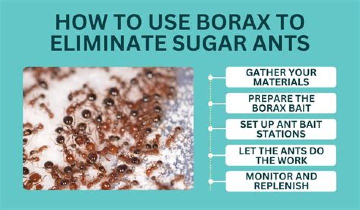 How do you use borax to remove stains