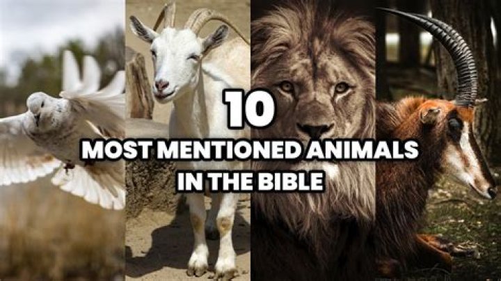 How many characters are mentioned in the Bible