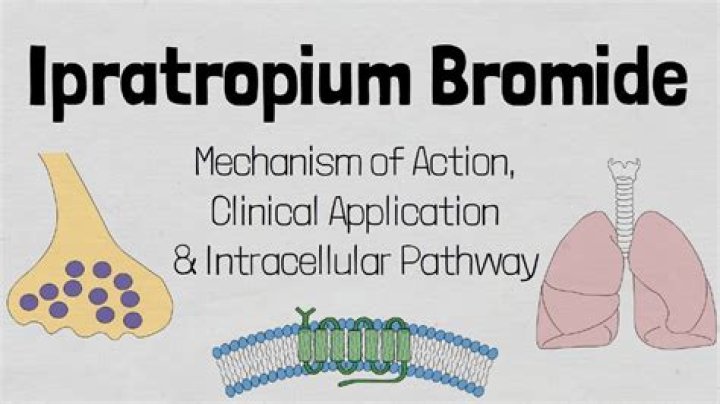 How many mg of ipratropium should I take