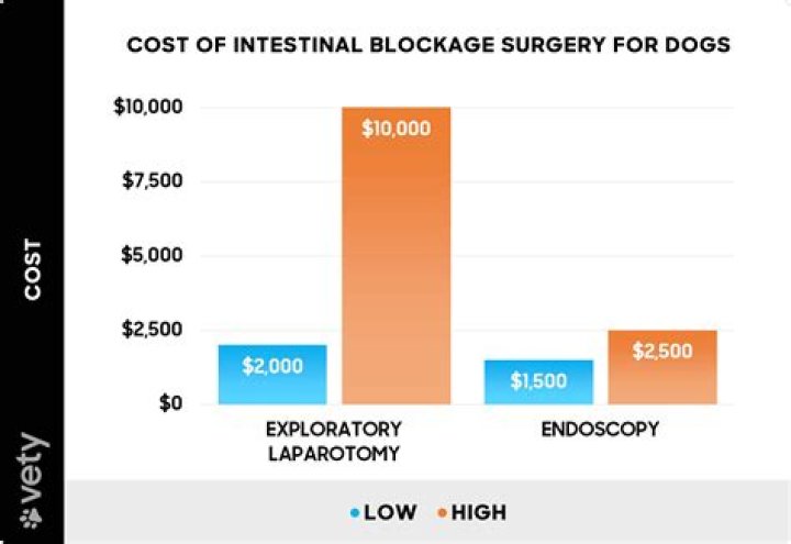 How much does a dog blockage surgery cost