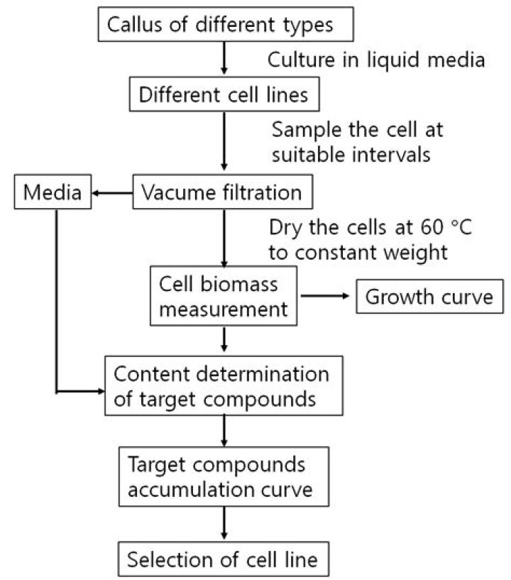 How secondary metabolites are produced