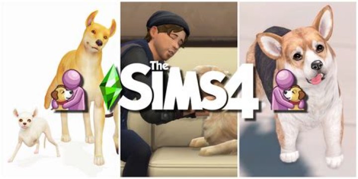 How To Adopt Pets In Sims 4 Cats And Dogs