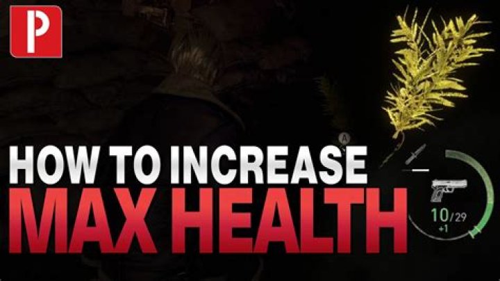 How To Get Max Health In Aqw
