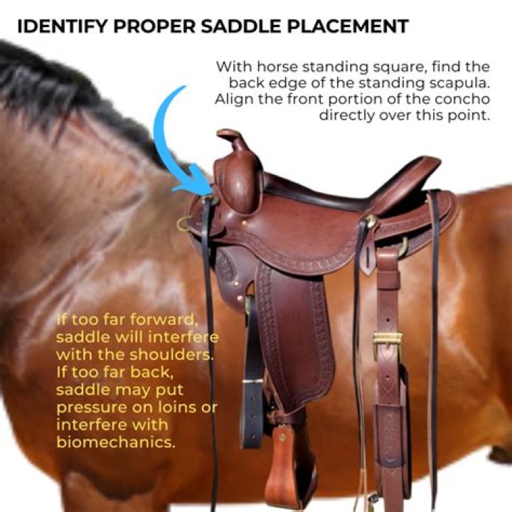 How To Repair A Saddle Yourself