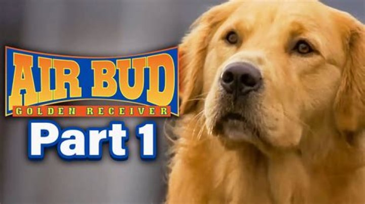 Is Air Bud the same dog in every movie
