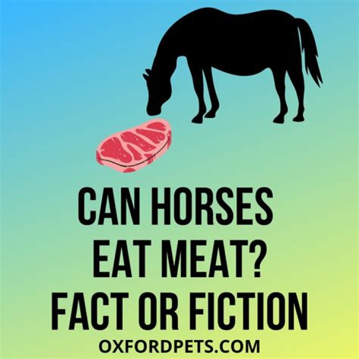 Is chicken feed toxic to horses