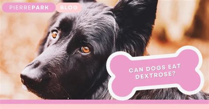 Is Dextrose Bad For Dogs