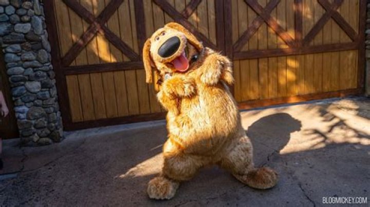 Is dug from up a girl