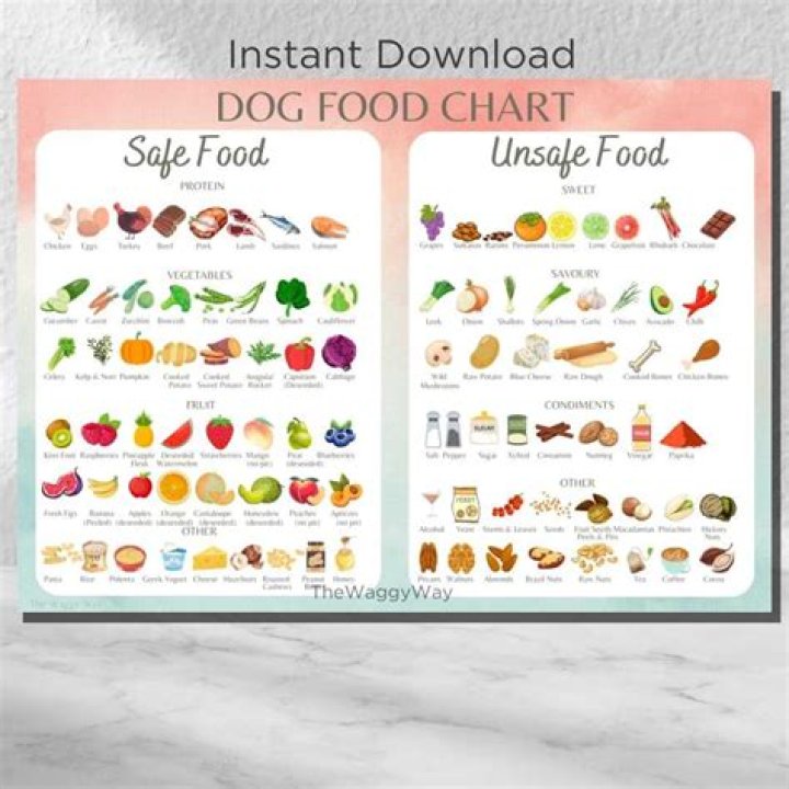 Is It Safe To Put Water In Dog Food