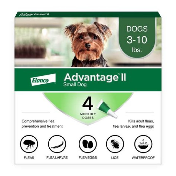 Is Marionberry Safe For Dogs