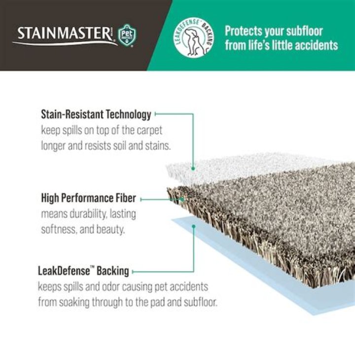 Is Stainmaster Carpet Safe - How To Discuss