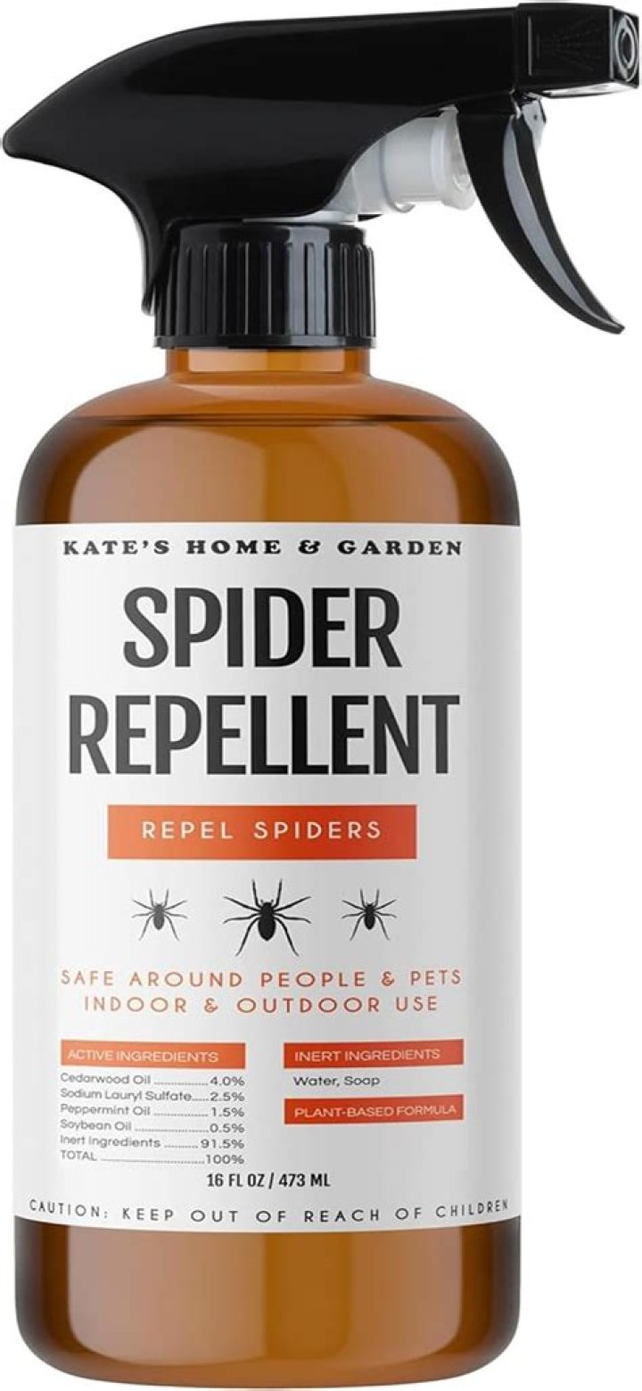 Is there any bed bug spray that really works