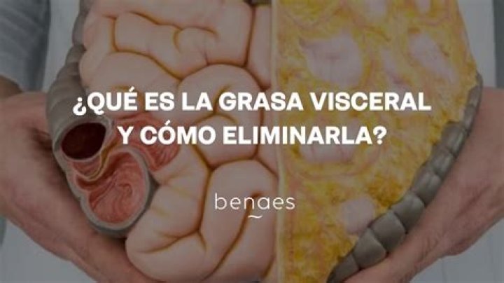 ¿Qué es un efector visceral