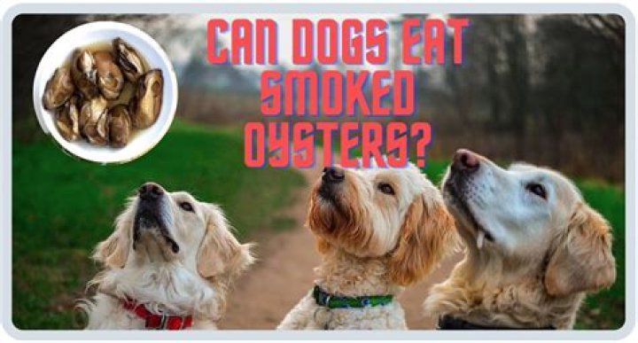 Question: Can Dogs Eat Smoked Oysters