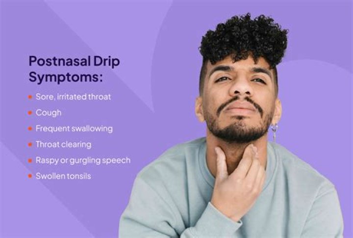 Question: What Can I Give My Dog For Post Nasal Drip