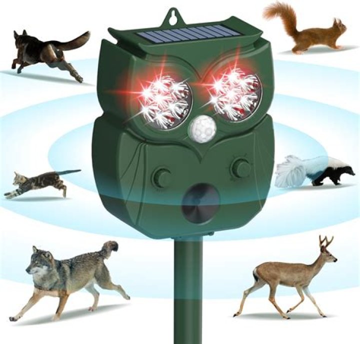 Quick Answer: Does Ultrasonic Sound Hurt Dogs