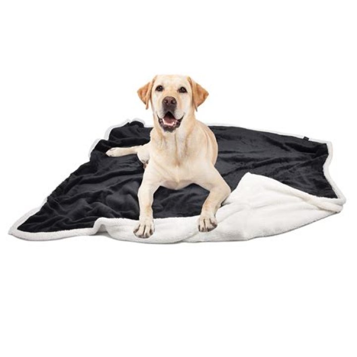 Quick Answer: Why Does My Dog Keep Chewing His Blankets