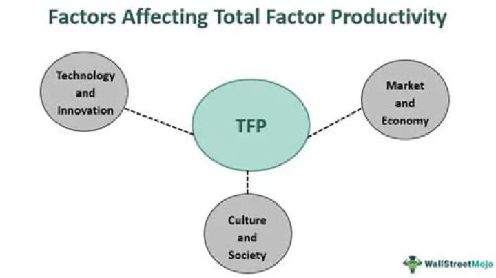 Total factor productivity (FTP) - How To Discuss