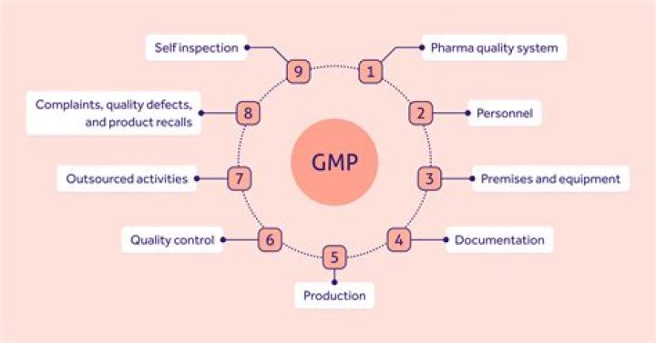 What are examples of GMP