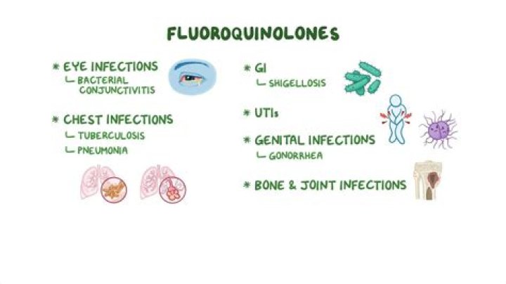 What are fluoroquinolones used to treat