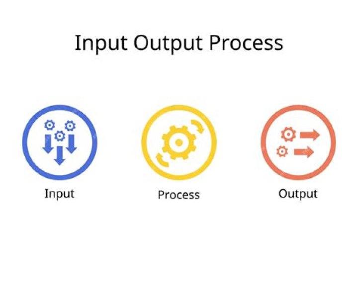 What are inputs and outputs in operations management