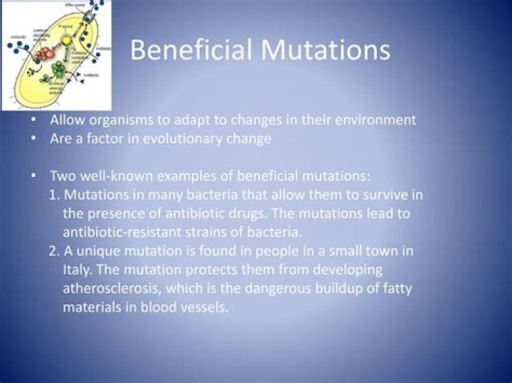 What are some beneficial mutations in humans