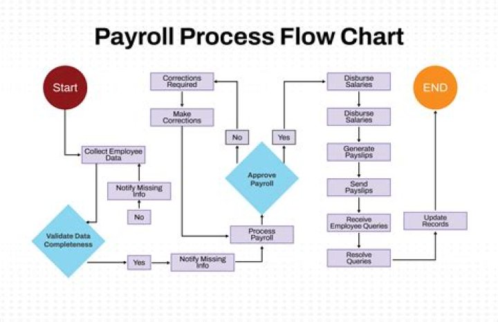 What are the four phases of the payroll process