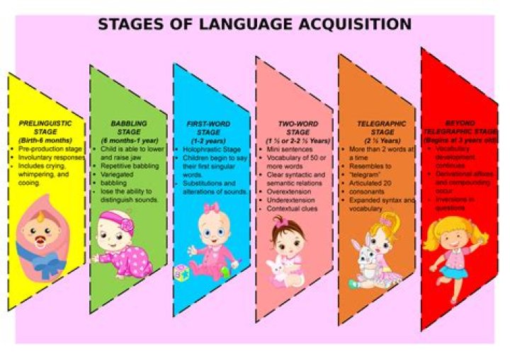 What are the four stages of language production