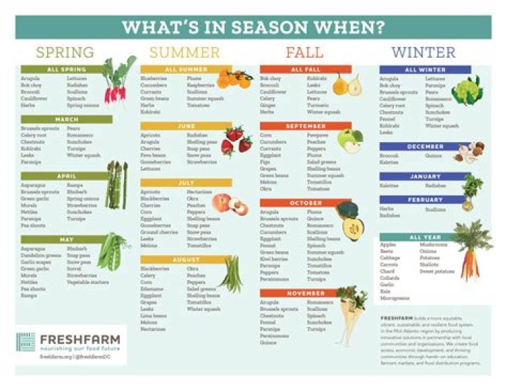 What are the seasonal products