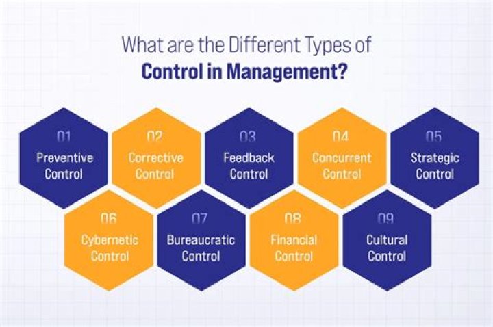 What are the types of management control systems