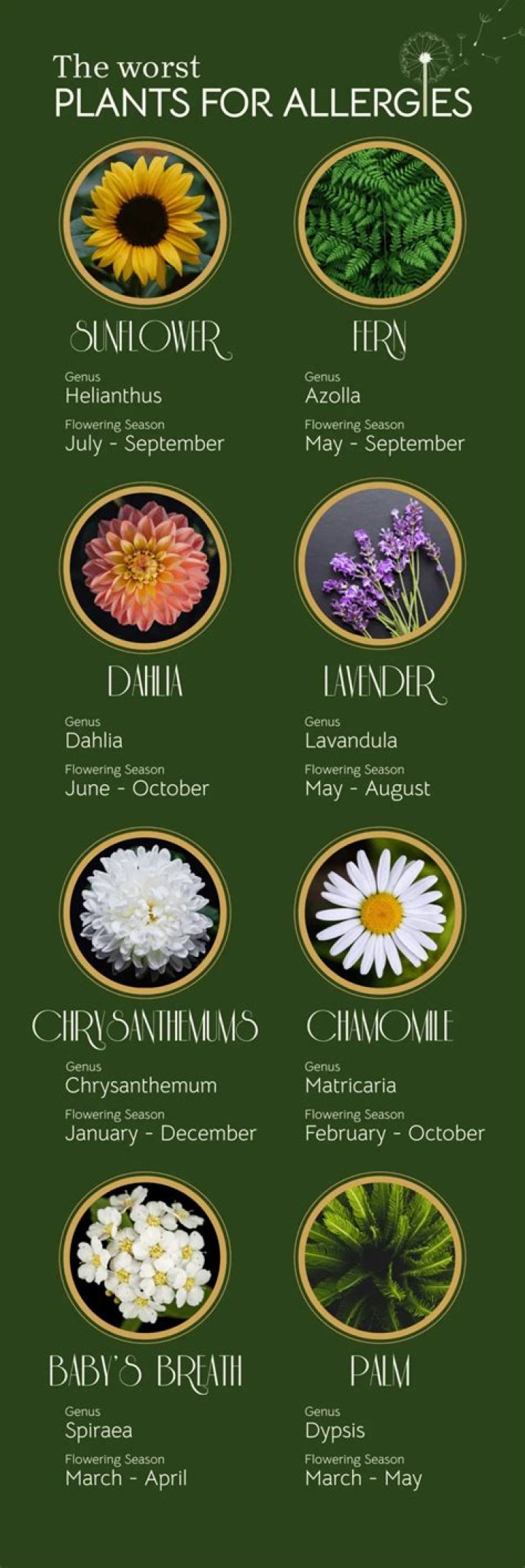 What are the worst plants for hayfever