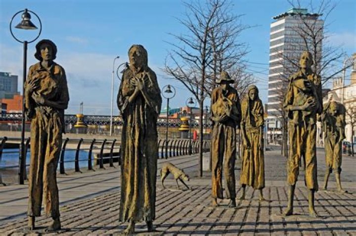 What caused the potato famine in Ireland