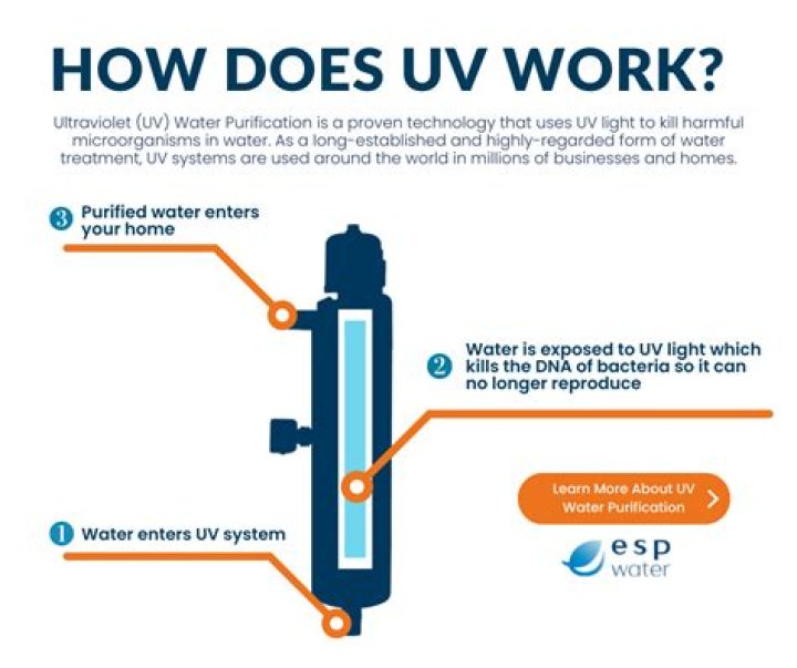 What does UV kill in water
