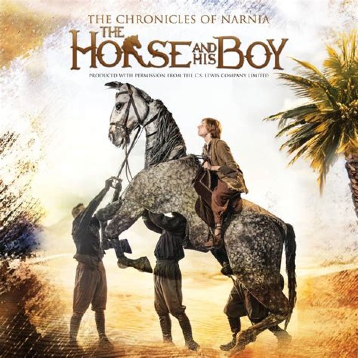 What happened in the horse and his boy