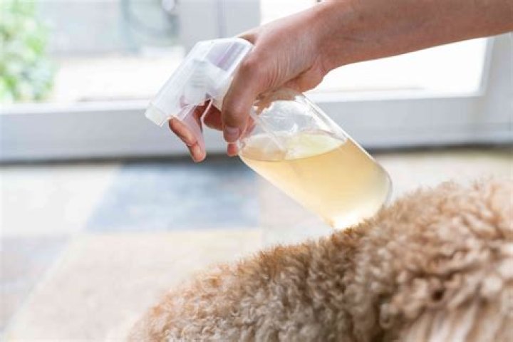 What.Helps Dogs Stop Itching Sardines