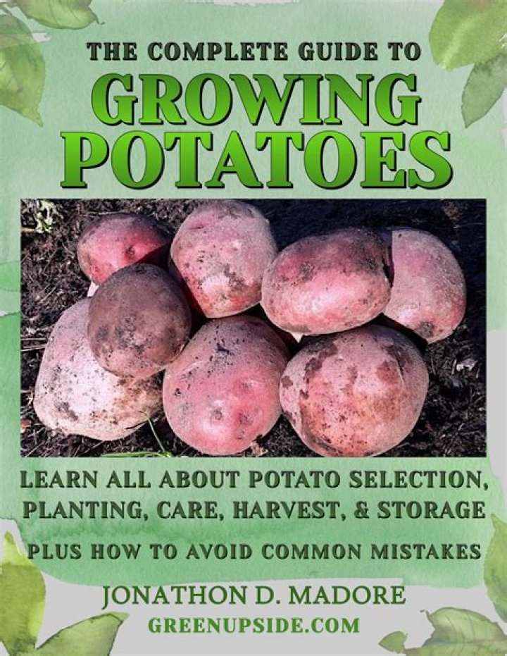 What is a good potato yield