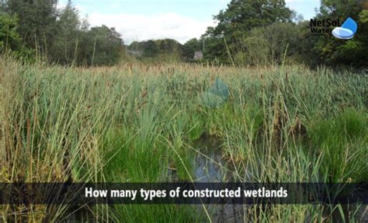 What is a wetlands transition area