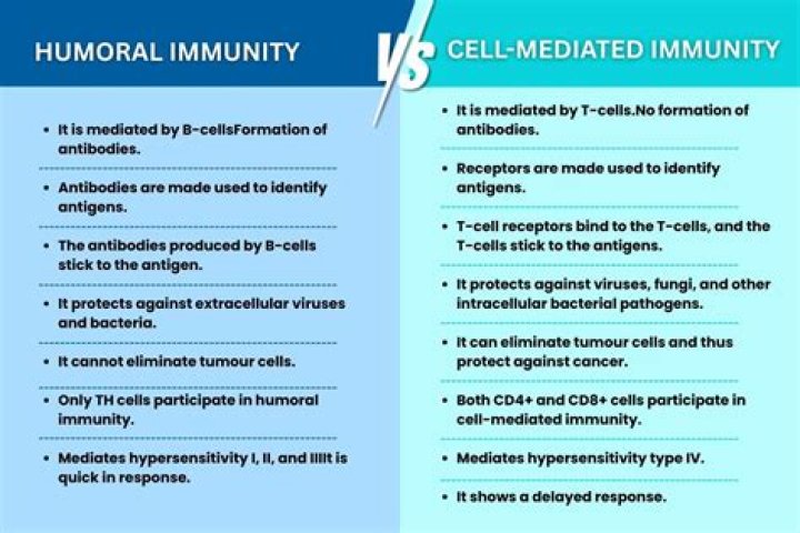 What is an example of cell mediated immunity