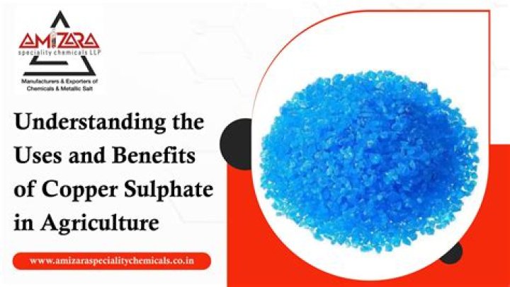 What Is Copper Sulfate Used For In Dog Food